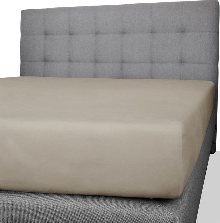Actual product image Aspero 2 x cotton fitted sheets (140, 160 x 200 x 25 cm)