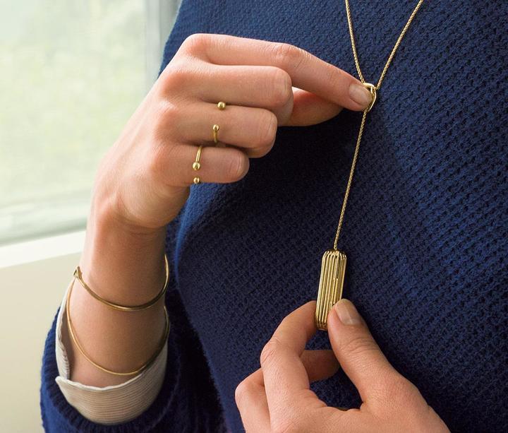 Immagine prodotto Fitbit Collana Flex 2 con pendente