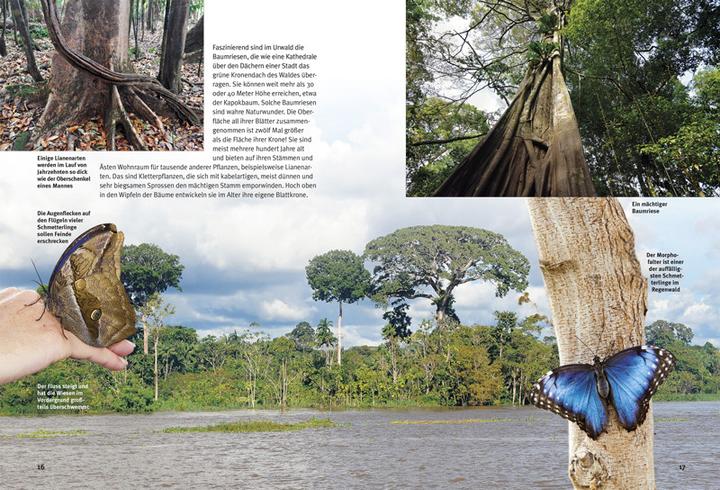 Actual product image Entdecke den Amazonas-Regenwald (German, Lothar Prof. Dr Staeck, 2016)