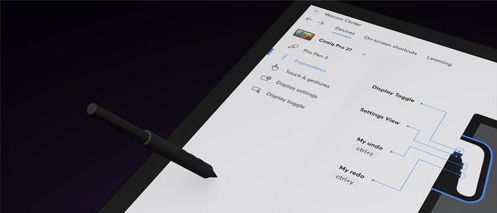 Actual product image Wacom Cintiq Pro 22 (22", 5080 lpi)