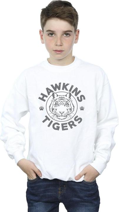 Image du produit Netflix - Sweat STRANGER THINGS HAWKINS GREY TIGER - Garçon (152, 158)