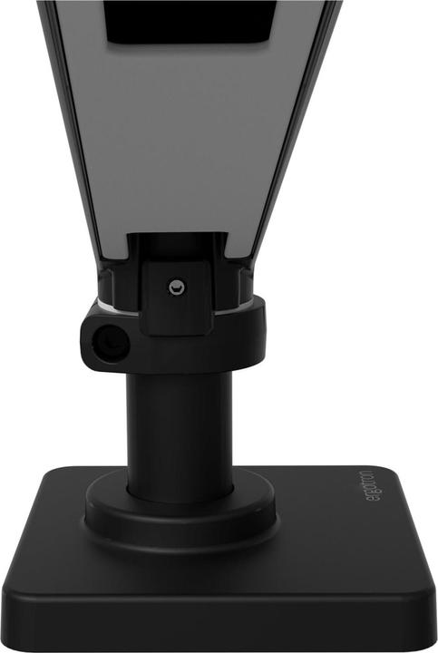Actual product image Ergotron LX PRO ARM DUAL SIDE-BY-SIDEblack (Table, 27")