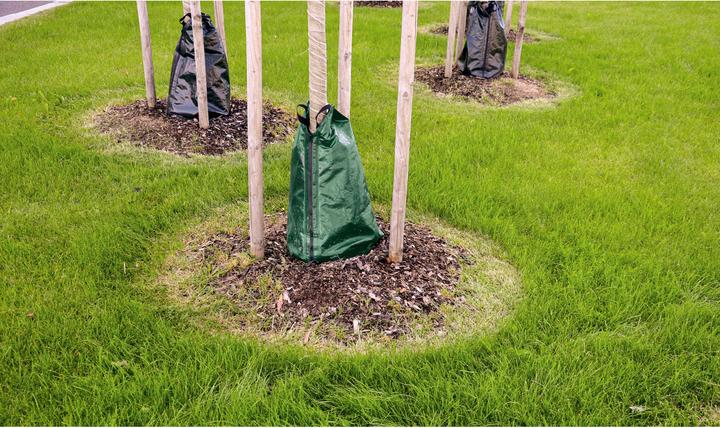 Produktbild Tector Baumbewässerungssack, 55 L, 400g/m² (Baumbewässerungssack)