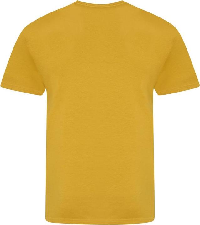 Image du produit Awdis The 100 Tshirt (XL)
