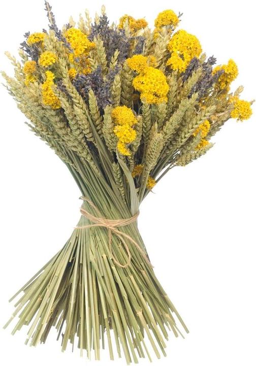 Anjel Trockenblumen mit Kartonbox Gelb/Blau (Trockenblumen)