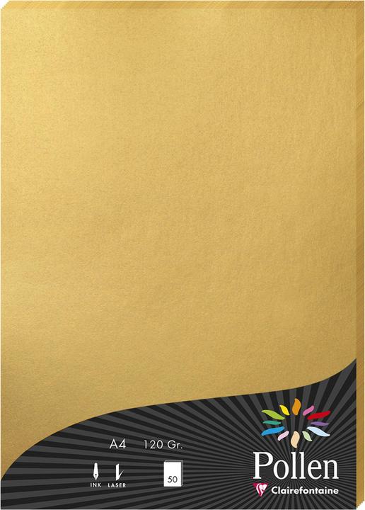 Produktbild Pollen Papier Packung (120 g/m², 50 x, A4)