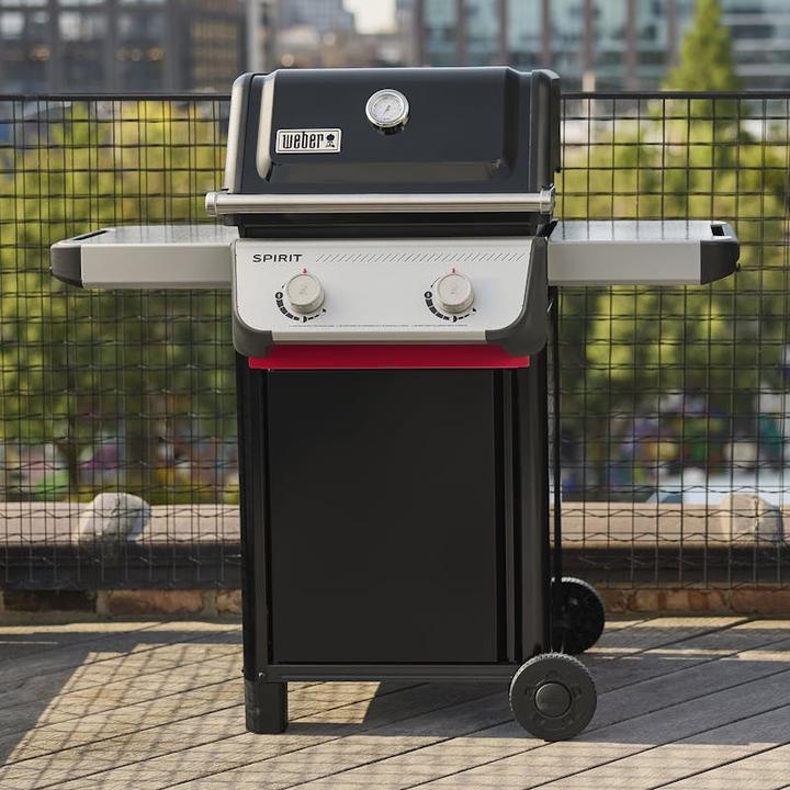 Image du produit Weber SPIRIT E-210 (7.80 kW)