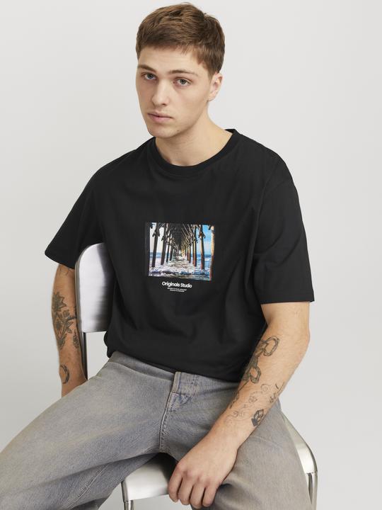 Actual product image Jack & Jones Jorvesterbro Picture Tee Ss Crew Neck Sn (L)
