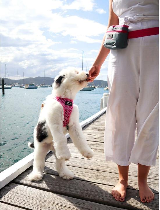 Immagine prodotto Doog Imbracatura Neoflex Toto XS Rosa / Nero (XS, Cane, Generale)