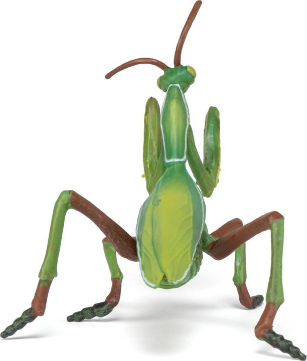 Actual product image Papo Praying mantis