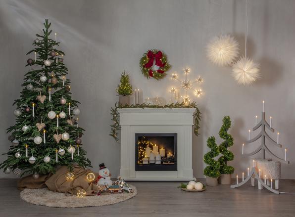 Produktbild Star Trading Thuja