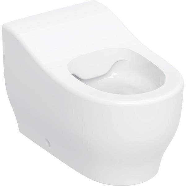 Geberit Bambini Stand WC für Kleinkinder, Tiefspüler, Rimfree, Höhe:24cm