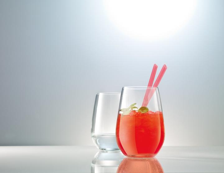 Image du produit Schott Zwiesel Vina (0.56 l, 1 x)