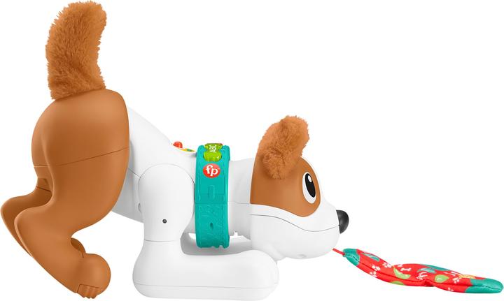 Actual product image Fisher-Price - 123 Crawl With Me Puppy-DU