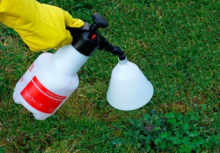 Immagine prodotto Birchmeier Stella super (1.25 l)