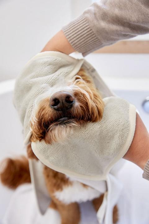 Actual product image Palopa Dog towel (Dog)