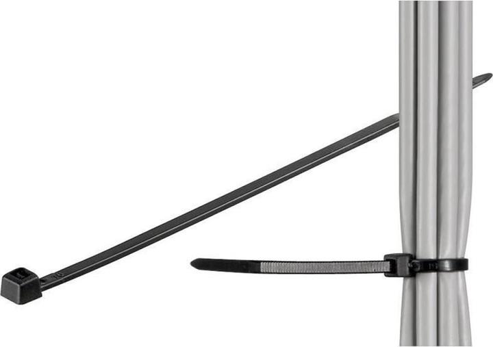 Produktbild Techly 306356 Nylon cable ties 10 (100 mm, 100 Stk.)