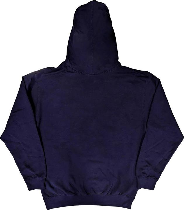 Image du produit Universal Textiles Sweat à capuche pour adultes Boston Pride (L)