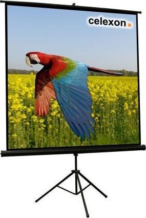 Actual product image Celexon Eco tripod, screen, 1:1 (86.22", 1:1)