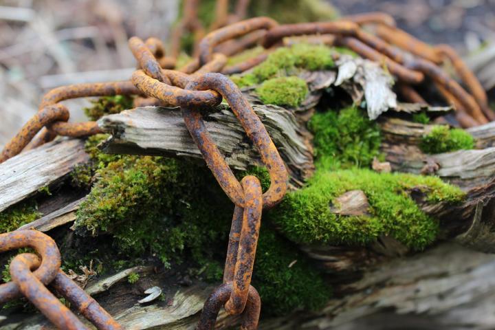 Actual product image Vitaliano Steel chain, rusted 5mm, sold by the metre, 30 metres (30 m)