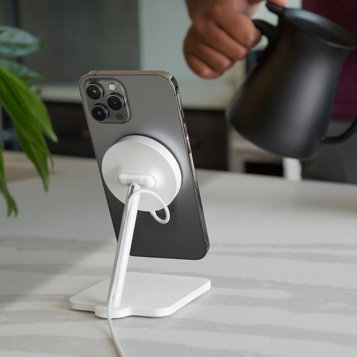 Image du produit TwelveSouth Forté (15 W)