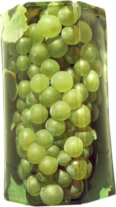 Immagine prodotto Vacu Vin Giacca di raffreddamento attivo 'uva verde
