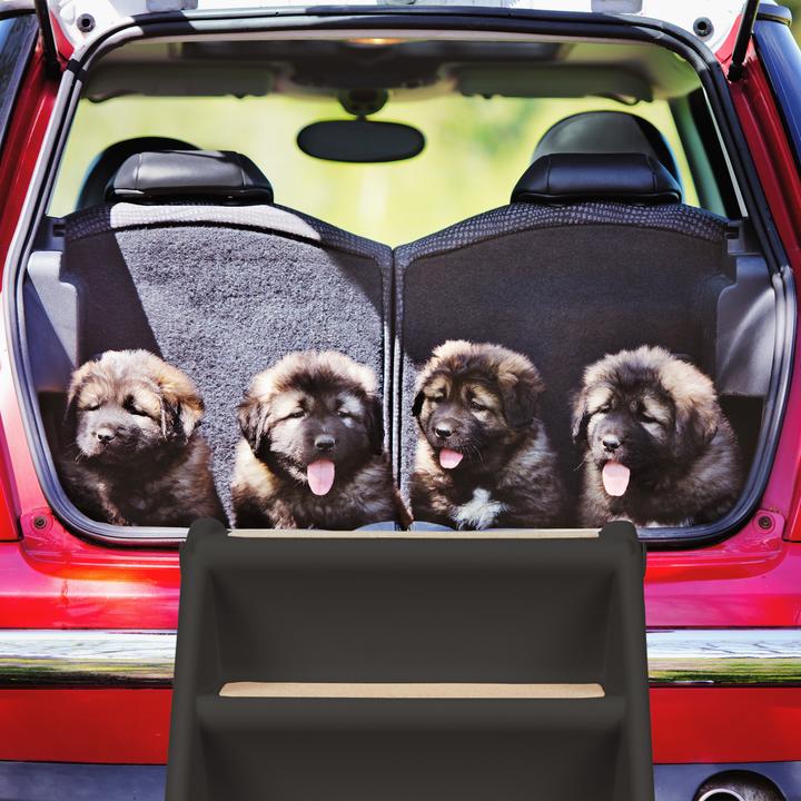 Actual product image Relaxdays Dog Stairs, 4 Steps (Dog, Foldable, Can be opened completely)