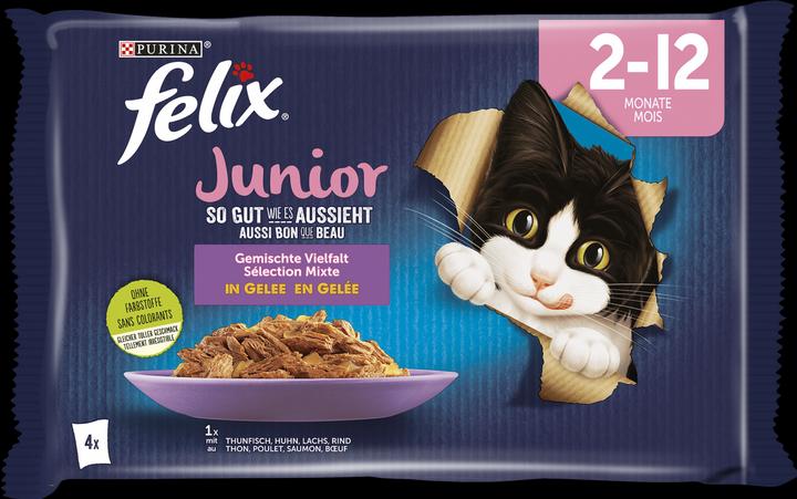 Felix Junior (Junior, 4 pcs., 340 g)