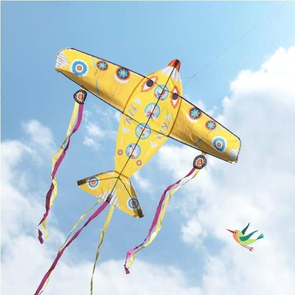 Produktbild Djeco Maxi Flugzeug