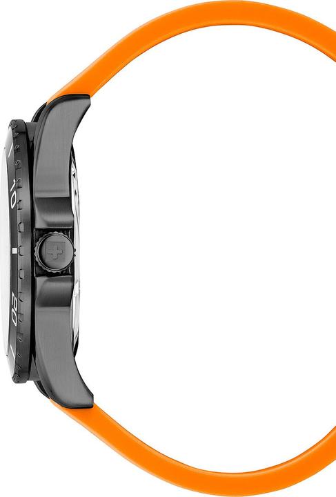 Produktbild Swiss Alpine Military 7029.1879 Raptor Herrenuhr 42mm 10ATM (Swiss Made, 42 mm)
