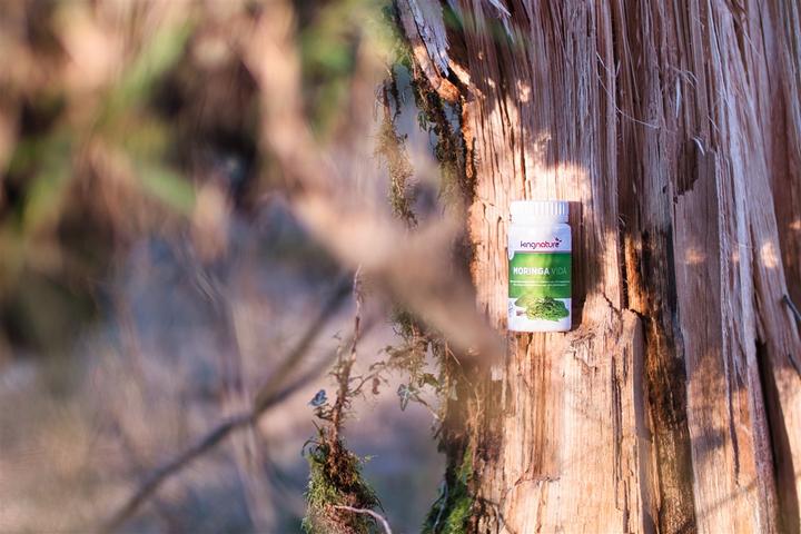 Produktbild Kingnature Moringa Vida (Bio) Kapsel (72 Stück, Kapseln, 80 g)