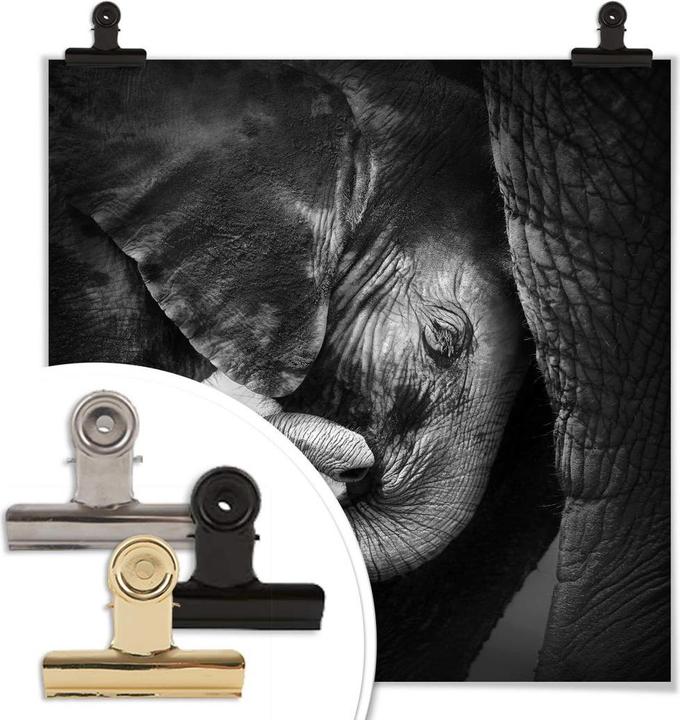 Actual product image Trenddeko The baby elephant (70 x 70 cm)