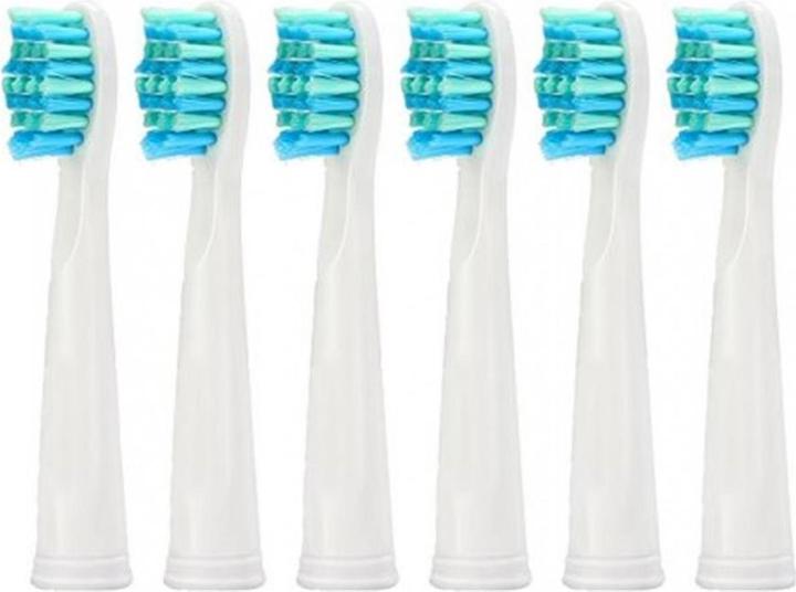 Produktbild Ailoria Ersatzbürstenköpfe (6 x)