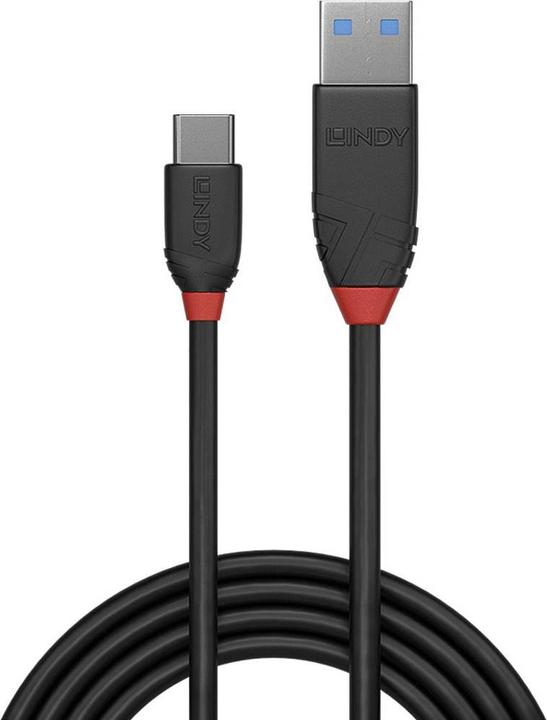 Actual product image Lindy black line (0.50 m, USB 3.1)