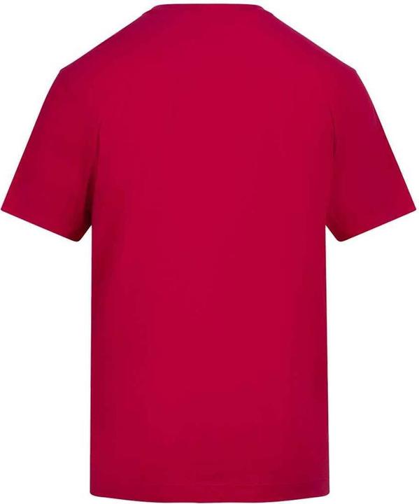 Actual product image Awdis Unisex Adult 150 T-Shirt (XL)