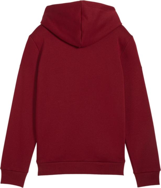 Produktbild Puma ESS+ 2 Col Big Logo Hoodie FL B (164)