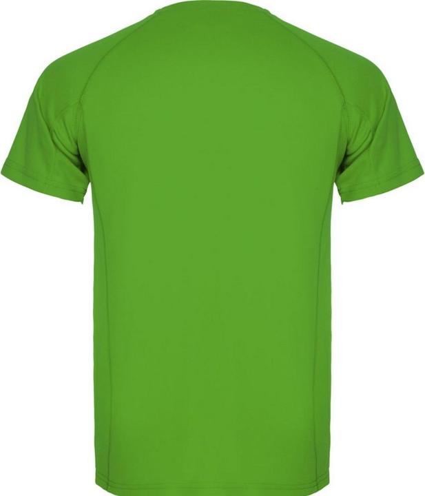 Actual product image Alpinia Mens Montecarlo Short-Sleeved Sports T-Shirt (XXL)