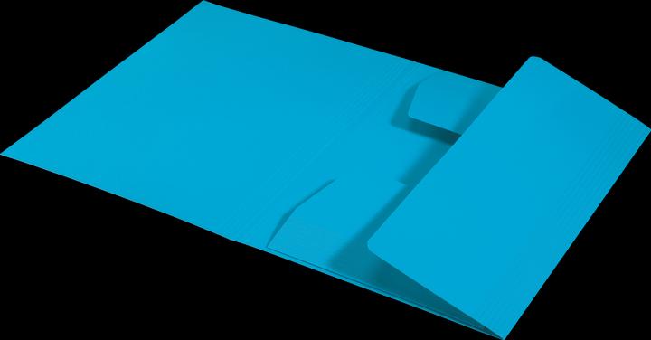 Actual product image Leitz Inlay Folder Juris Folder A4 Blue (A4, 1 x)