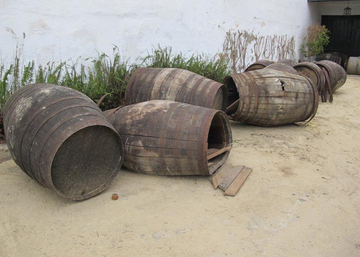 Immagine prodotto Bodegas Tradicion Tradicion Pedro Ximenez (1 x 75 cl)