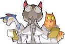 Immagine prodotto Gigamic I gatti di Schrodinger (f) (Francese)