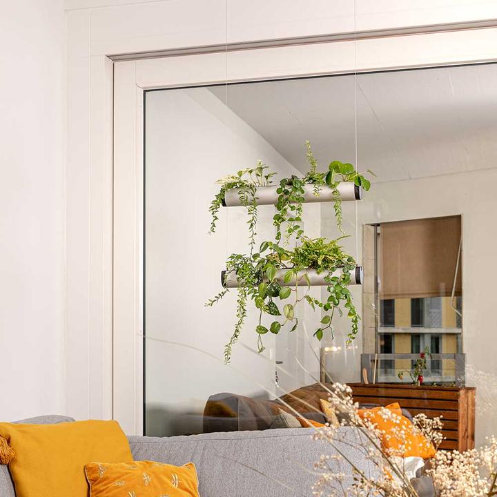 Image du produit Pendularis Set 0.5 Royal (50 cm)