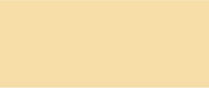 Actual product image Solo Goya Triton Acrylic (Beige, 750 ml)