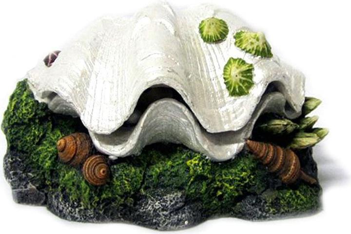 Immagine prodotto Amazonas Conchiglia con sirena (Decorazione, altre voci)
