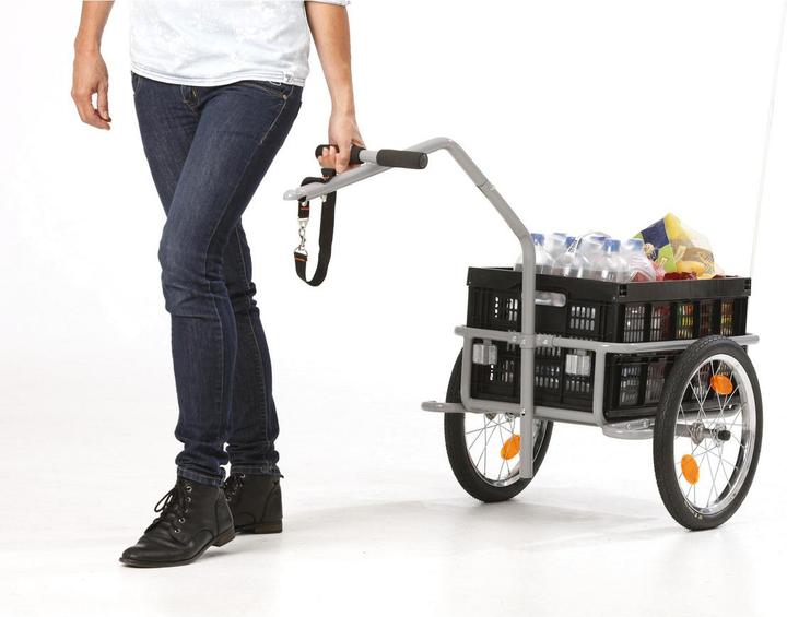 Actual product image Fischer Profi Plus