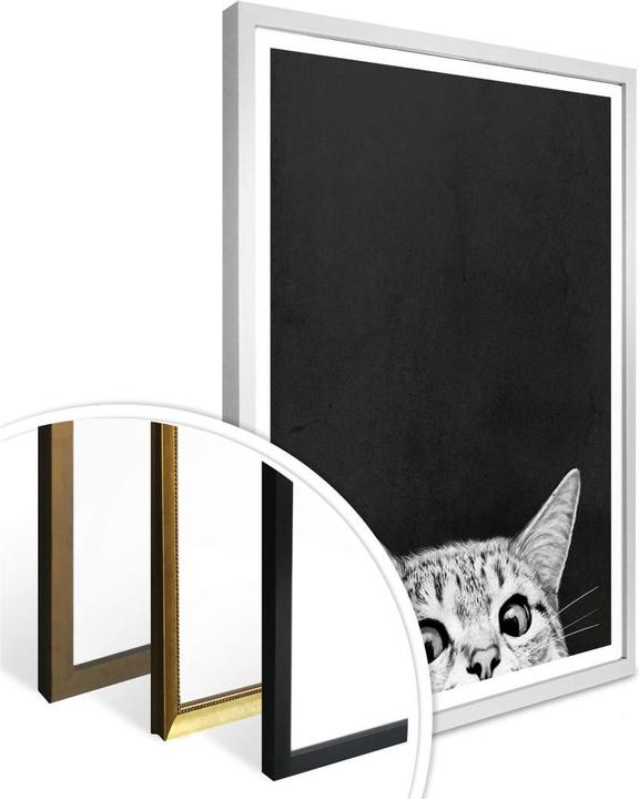 Image du produit Trenddeko Graves - Are you asleep yet (30 x 40 cm)