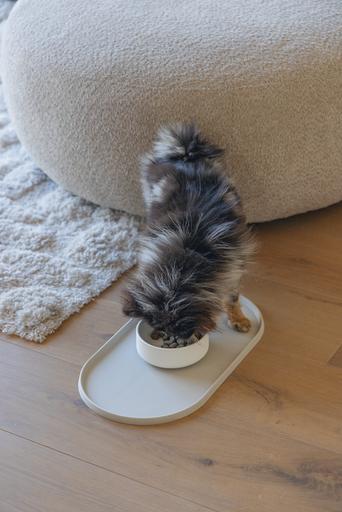 Image du produit Designed by Lotte Gamelle pour chien Lojs (0.43 l)