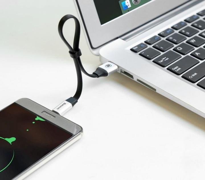Actual product image Baseus Catmbj (0.23 m, USB 2.0, 60 W)