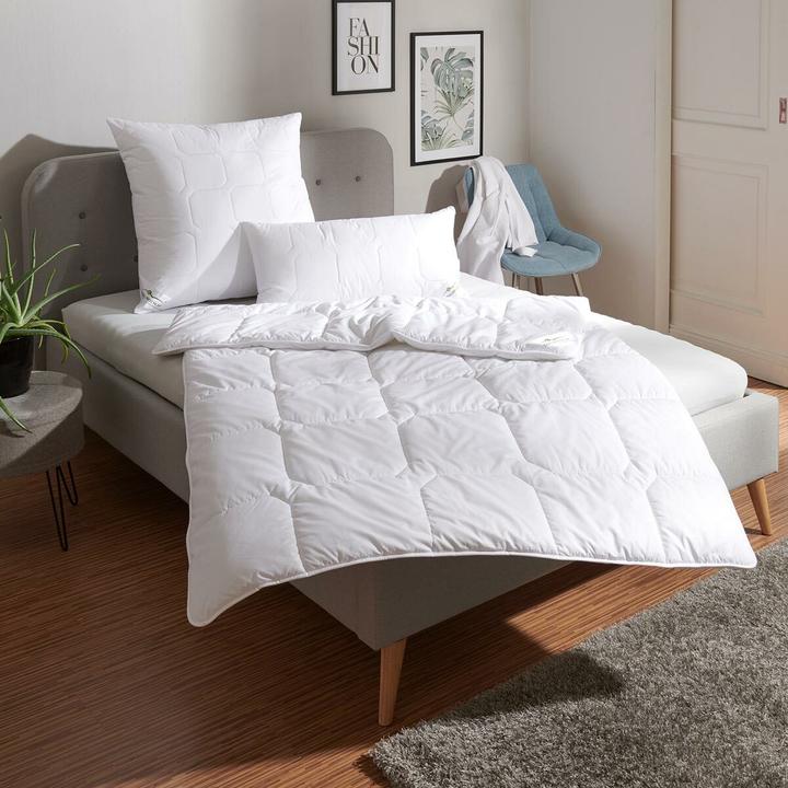 Actual product image Traumschlaf Thinsulate warm (1100 g, 135x200 cm)