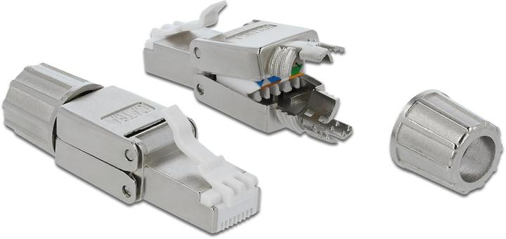 Image du produit Delock Fiche RJ45 Cat.6A (Câble réseau Connecteur)