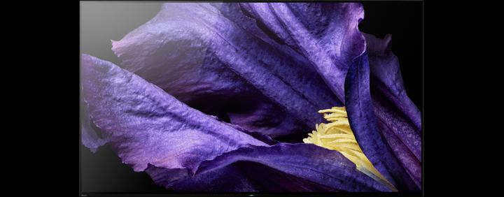 Image du produit Sony KD-65AF9 (65", OLED, 4K, 2018)